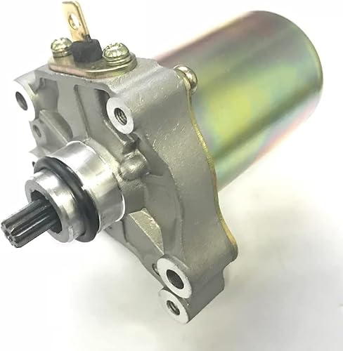 Startermotor 125 cc Hochleistungs-Startermotor passend for Racing ROTAX MAX FR125 GO Kart Racing Motorradmotor Teil Nr. 9023782594 von GYOUZA