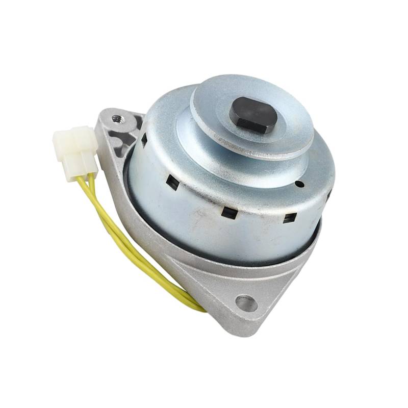 Galloparts CPL2D12145 Lichtmaschine 12V 15A 121450-77200 Kompatibel mit Yanmar Traktor YM147 YM169 YM250 YM276 147 169 250 276 von Galloparts