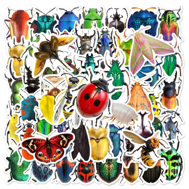 50 Stück Insekten Wasserfeste Aufkleber Sticker Set für Kinder Jugendliche Tier Insect Insekten Aufkleber für Auto Laptop Skateboard Fahrrad Moped Motorrad Motorräder Gepäck Computer Koffer von Gaojiwanju