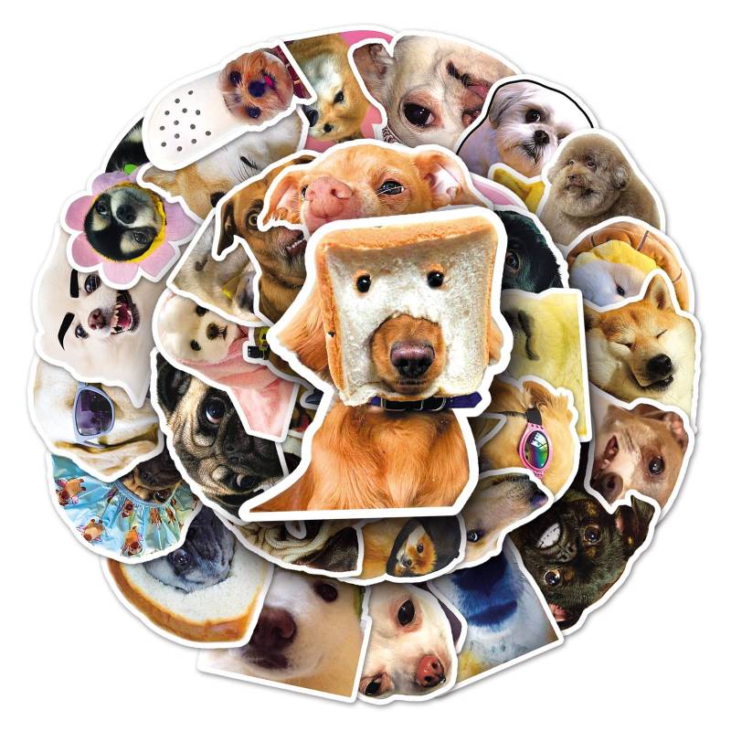 Gaojiwanju 50 Stück Meme Hund Wasserfeste Aufkleber Sticker Set für Kinder Jugendliche Meme Dog Vinyl Aufkleber für Auto Laptop Skateboard Fahrrad Moped Motorrad Motorräder Gepäck Computer Koffer von Gaojiwanju