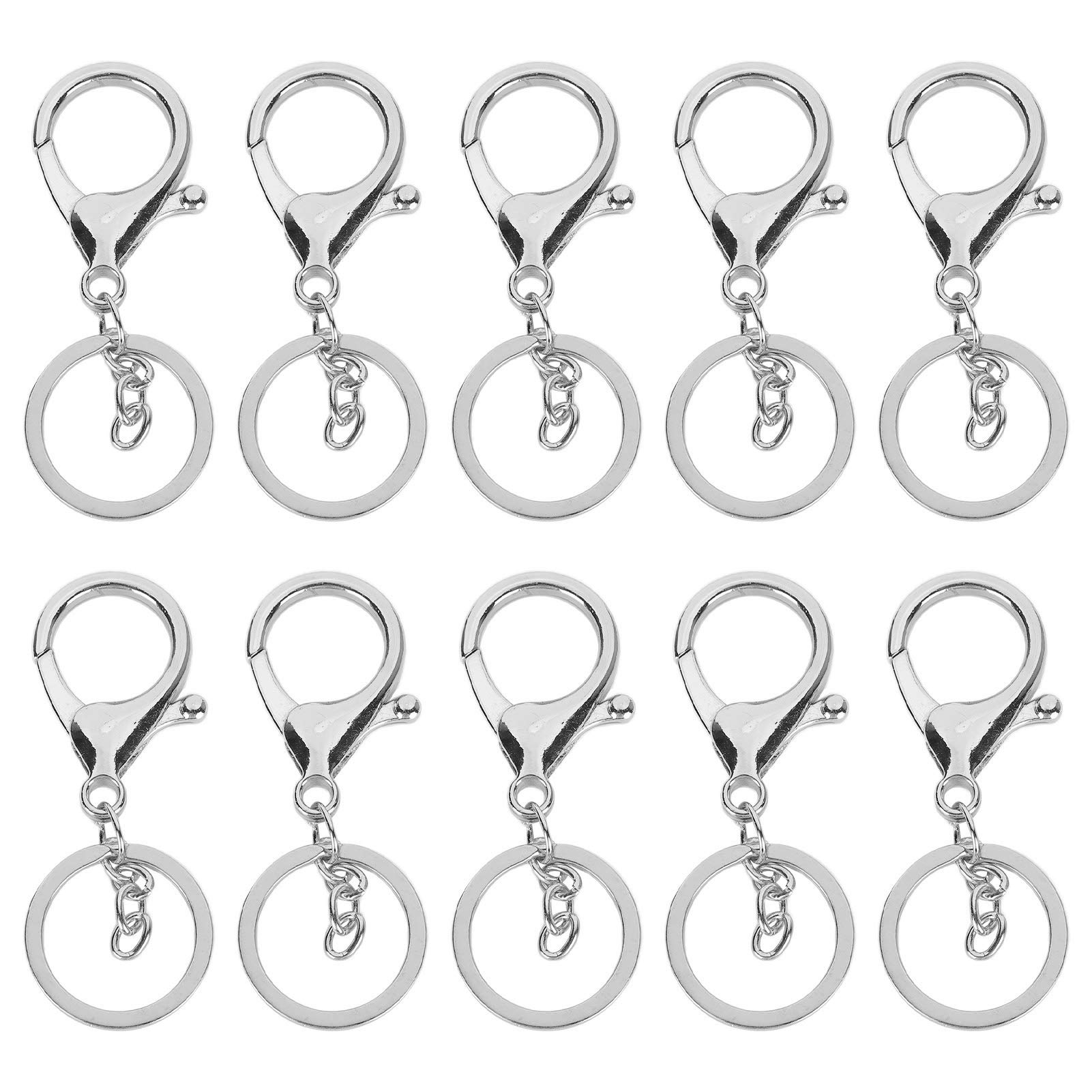 10 Stück Schlüsselring Karabiner, Schlüsselanhänger Haken mit Hummerverschlüssen, Metal Karabiner Klein für Schlüsselring Clip Lanyard, Schmuck DIY(#1) von Garosa