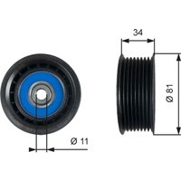 Umlenk-/Führungsrolle, Keilrippenriemen GATES T36517 von Gates