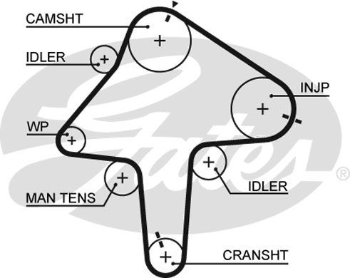 Zahnriemen Gates 5482XS von Gates