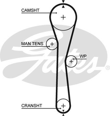 Zahnriemen Gates 5577XS von Gates