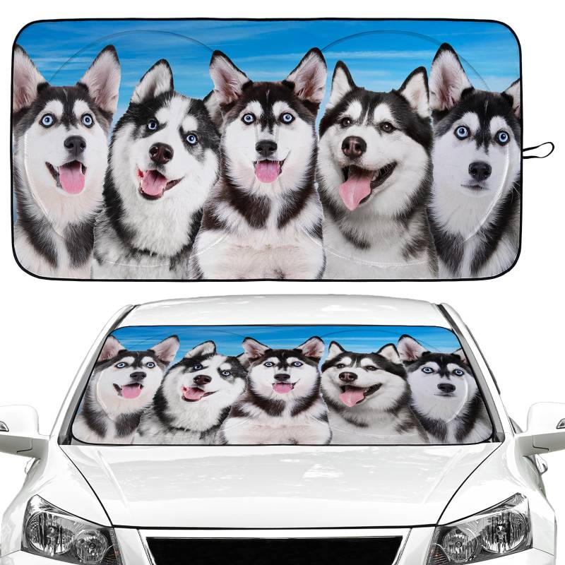 Husky Hunde-Sonnenschutz für die Windschutzscheibe, faltbar, für Frontscheibe, Sonnenblende, Zubehör für LKW, SUV (162,6 x 81,3 cm) von Gayruaicjz