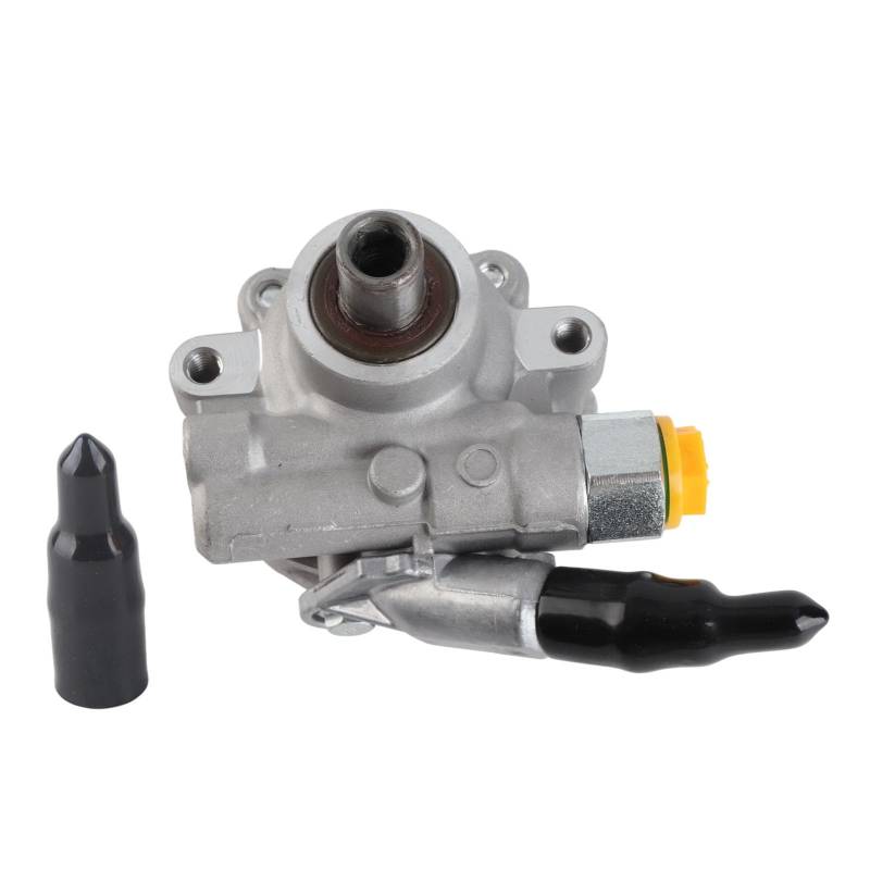 Gearwell Servolenkung pumpe, kompatibel mit 3.6L DOHC 2004-2009, 21-5448 Ersatz, 25900769 Lenkpumpe von Gearwell