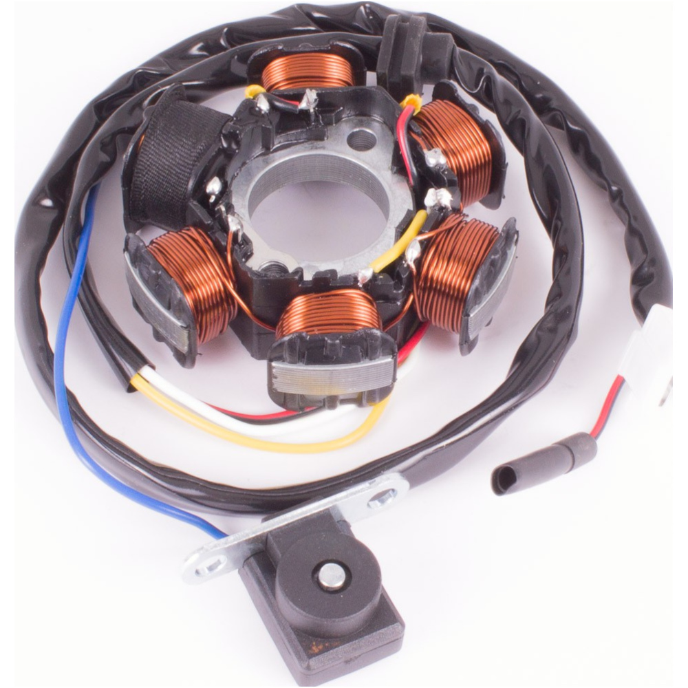 Geiwiz 1270311 lichtmaschine stator für peugeot speedfight, tkr, trekker, buxy 50/100ccm von Geiwiz