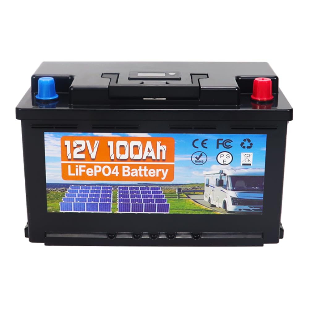 12V 100Ah LiFePO4 Batterie, 100A BMS, 6000-15000 Zyklen Deep Cycle Lithium Akku, MAX 1280W Leistung, Perfekter Ersatz für Blei-Säure Batterien für Wohnwagen, Camping, Solar Home Systeme, Boote von Generic