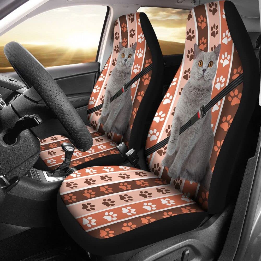 Autoschonbezüge Britisch Kurzhaar Katze Safe Drive Schonbezüge Autoauflage Top-Qualität Auto-Zubehör Universell Passende Auto Sitzbezug Für Wohnmobil, Anhänger, Fahrzeuge, 52X138Cm von Generic