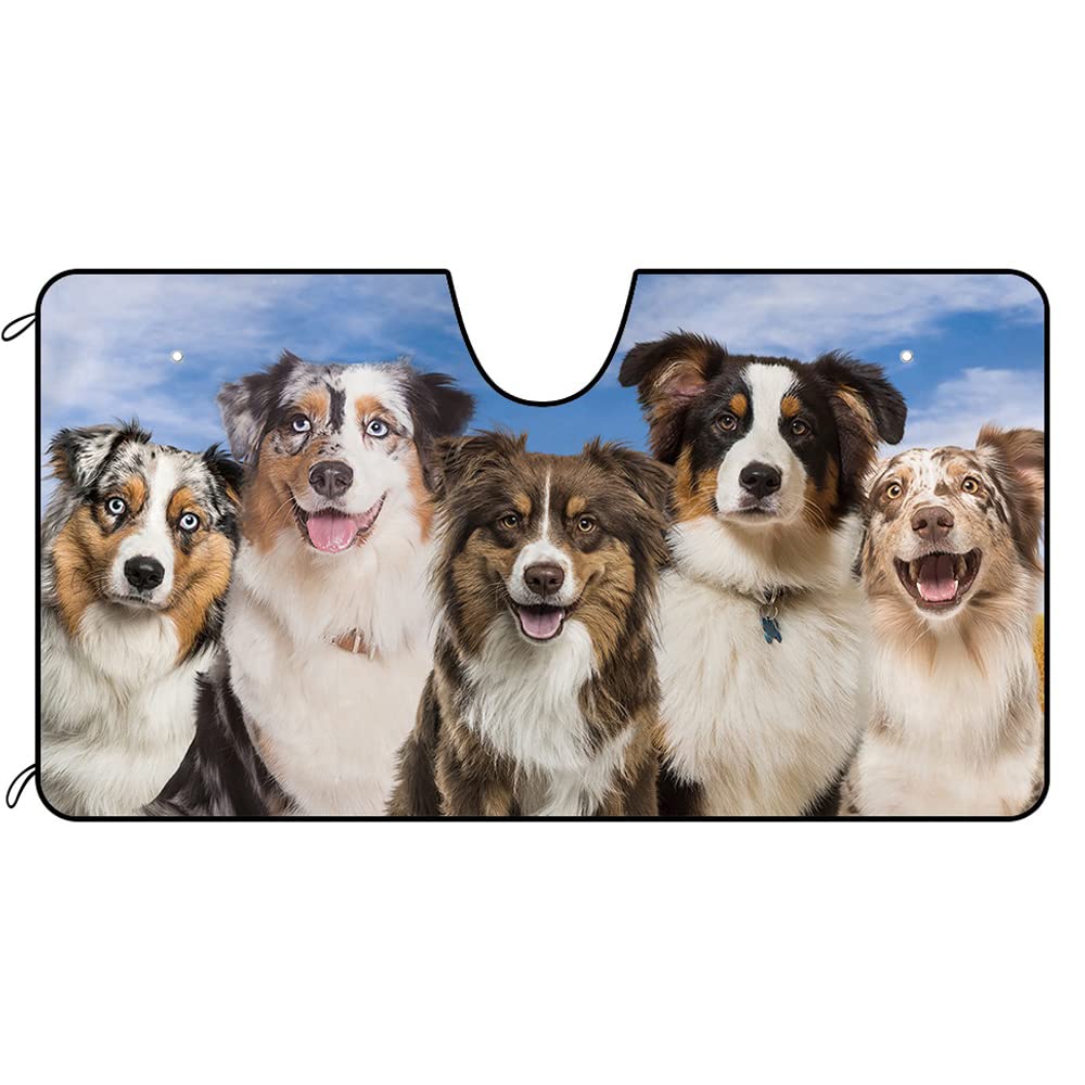 Hund Australian Shepherd Familie Sonnenschutz Auto Frontscheibe Uv-Schutz Auto Windschutzscheibe Sonnenblende Wasserbeständig Auto Windschutzscheibe Sonnenschutz Universal M Hund Australian Shepherd Familie Sonnenschutz Auto Frontscheibe Uv-Schutz Auto Windschutzscheibe Sonnenblende Wasserbeständig Auto Windschutzscheibe Sonnenschutz Universal M von Generic
