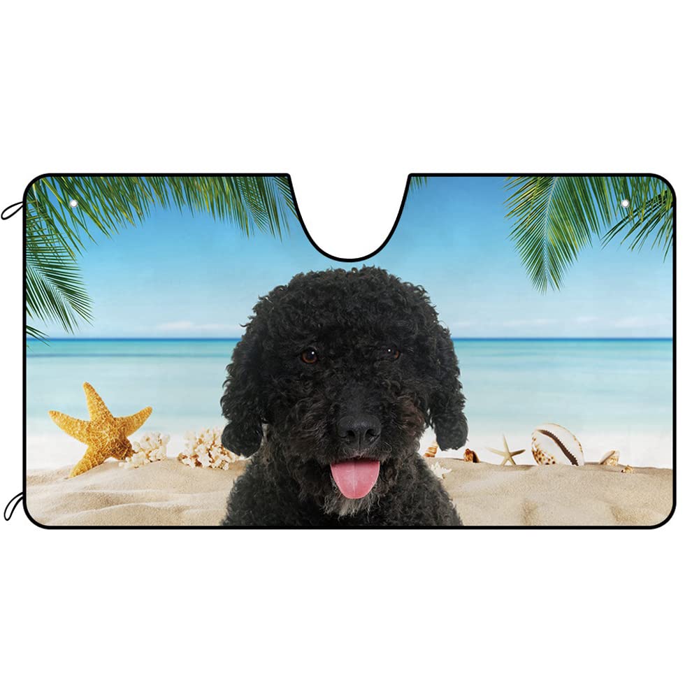Hund West Highland White Terrier Westie Im Strandsommer Auto Windschutzscheibe Sonnenblende Wasserbeständig Sonnenschutz Auto Frontscheibe Auto Windschutzscheibe Sonnenschutz Universal S Hund West Highland White Terrier Westie Im Strandsommer Auto Windschutzscheibe Sonnenblende Wasserbeständig Sonnenschutz Auto Frontscheibe Auto Windschutzscheibe Sonnenschutz Universal S von Generic