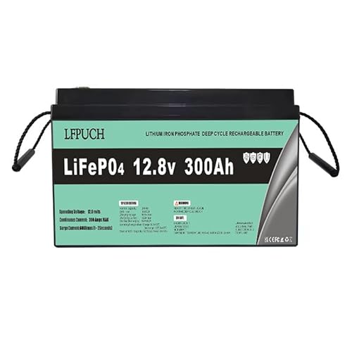 LiFePO4 Batterie 12V 300 Ah, Lithium Freizeitbatterie, Lithium Eisenphosphat Batterie anstelle von Auto AGM Batterie oder Deep Cycle-Batterie, für Wohnmobil, Boot, Solaranlage,Outdoor-Camping usw. von Generic