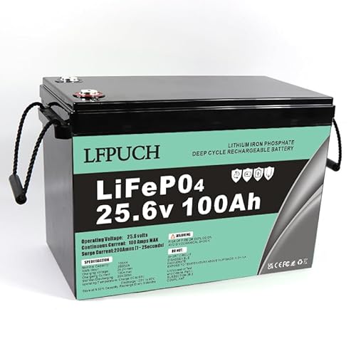 LiFePO4 Batterie 24V 100 Ah, Lithium Freizeitbatterie, Lithium Eisenphosphat Batterie anstelle von Auto AGM Batterie oder Deep Cycle-Batterie, für Wohnmobil, Boot, Solaranlage,Outdoor-Camping usw. von Generic