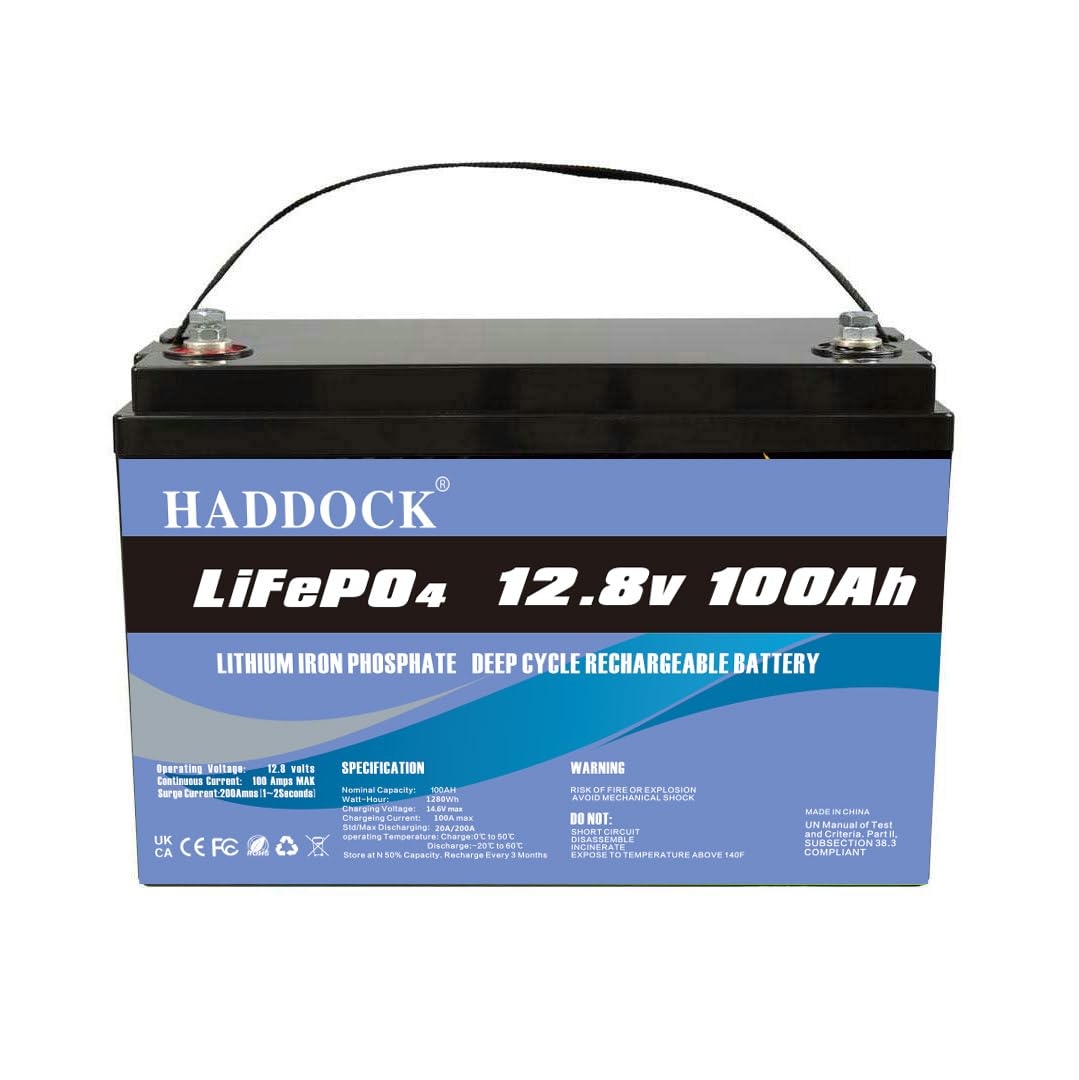 LiFePO4 Lithium Ionen Akku, 12 V 100 Ah, Lithium-Eisenphosphat-Batterie, integriertes BMS, für Sonnensystem, Boot, Wohnmobil, Golfauto, USV von Generic