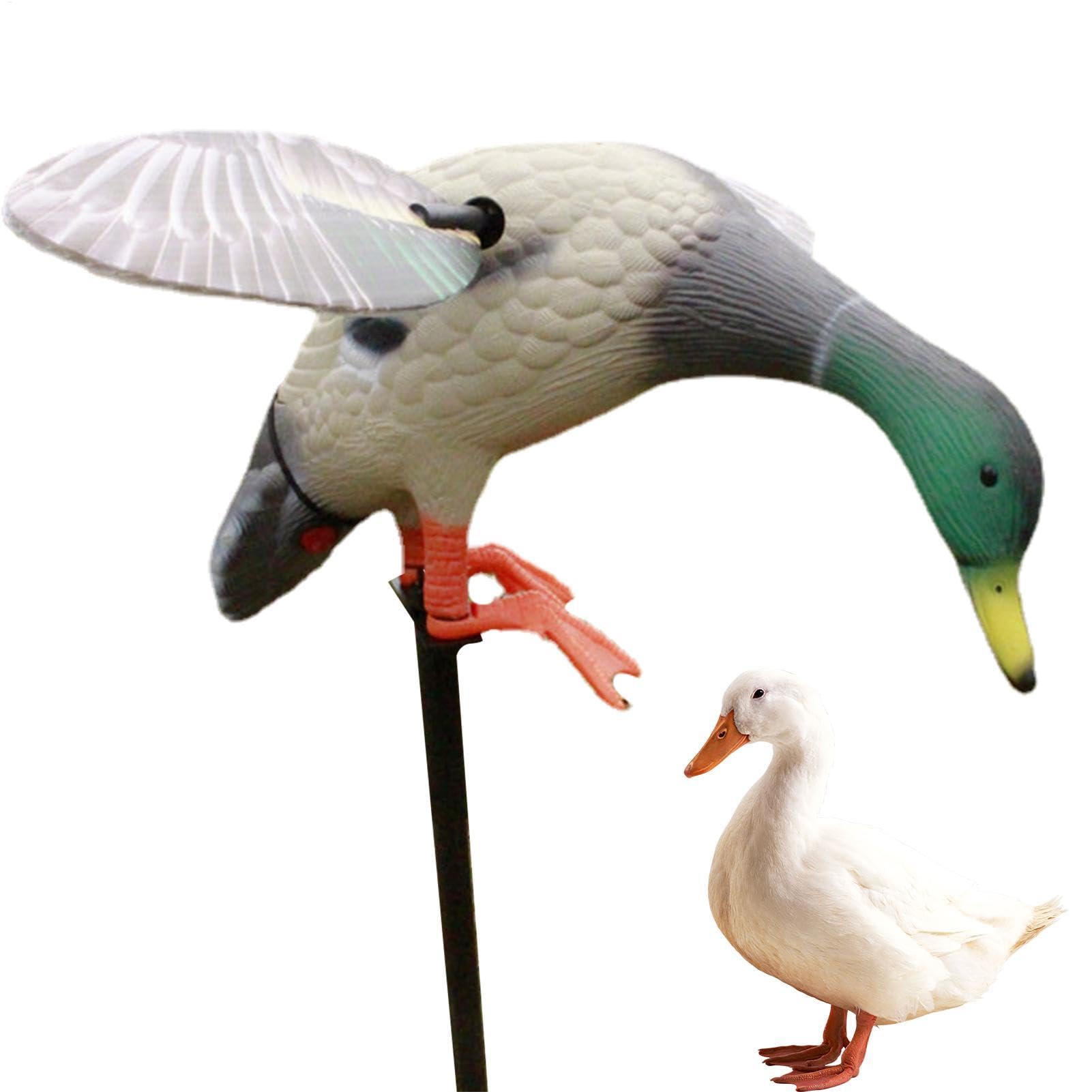 Motion Duck Decoy – Flexibler Duck Decoy Wing – Fernbedienung Elektrischer Köder Duck Decoy Mallard Motion Duck Decoy Bait Duck Decoy Batteriebetrieben für schnelle Entenjagd von Generic