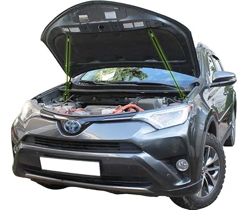 Motorhaubendämpfer kompatibel mit Toyota RAV4 IV A4 RAV 4 2012-2018 Gasdruckfeder Motorhaube Dämpfer Gasfeder Stoßdämpfer Motorhaubenlifter 2 Stück von Generic