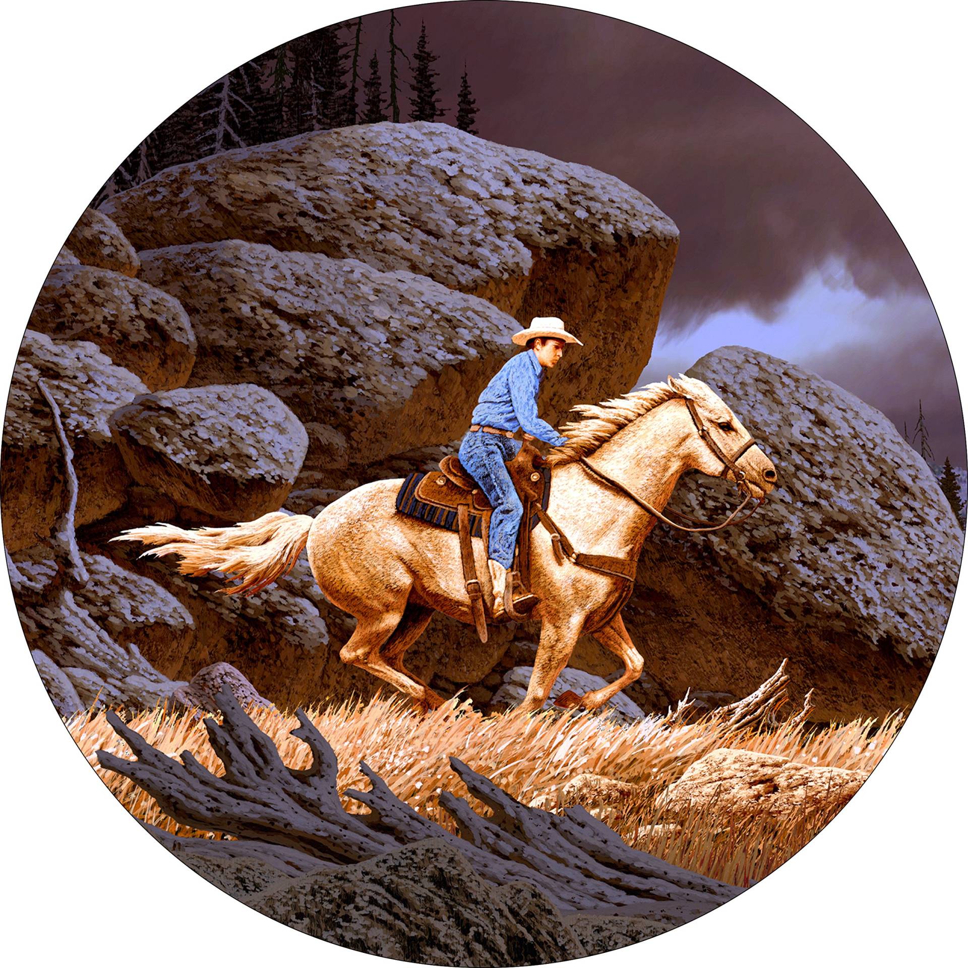 Tire Cover Cowboy Horse Desert Canyon Ersatzradabdeckung Uv-Schutz Reserveradabdeckung Prämie Reifencover Für Viele Fahrzeug Mpv Anhänger 16 inch von Generic