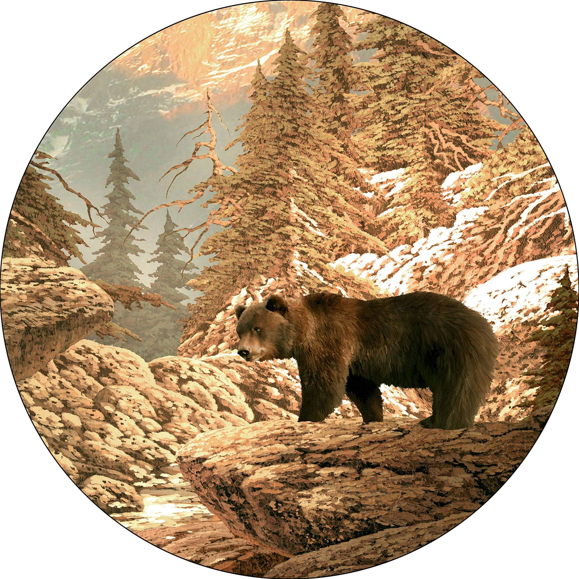 Tire Cover Grizzlybär Auf Den Felsen Auto Reserverad Abdeckung Uv-Schutz Reifen Tasche Mit Kordelzug Auto-Ersatzreifenabdeckungen Für Geländewagen Caravan Wohnmobile 14 inch von Generic