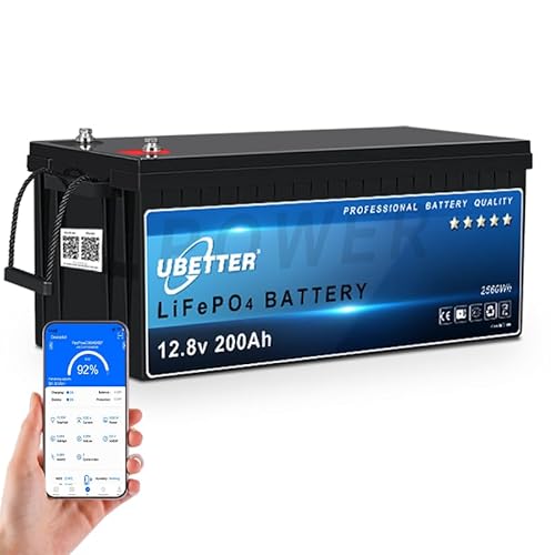 12V 200Ah Bluetooth LiFePO4 Batterie, 12V Lithium Batterie mit 200A BMS, Max. 2560Wh, 4000+ Mal Tiefzyklus, perfekt für Innen und Außen, Solaranlagen,Wohnwagen, Off-Grid von Generisch