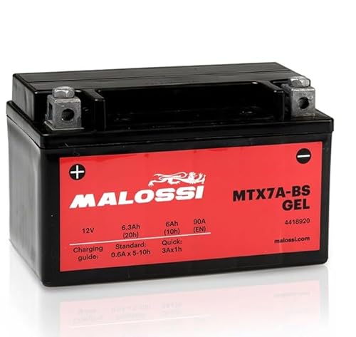 Gel-Batterie aktiviert, gebrauchsfertig 12 V 6 Ah People 50 125 150 200 Symphony 50 125 150 kompatibel mit Malossi MTX7A-BS = Y U A S A YTX7A-BS von Generisch