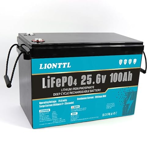 LiFePO4 Akku 24V(25.6V) 100 Ah LiFePO4 Batterie, 5000+ Deep Cycle, wiederaufladbarer Lithium Ionen Phosphat Akku mit BMS, für Trolling Motor, Kinderroller, Power Wheels, Fischfinder, Outdoor Camping von Generisch