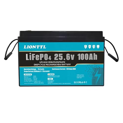 LiFePO4 Akku 24V(25.6V) 100 Ah LiFePO4 Batterie, 5000+ Deep Cycle, wiederaufladbarer Lithium Ionen Phosphat Akku mit BMS, für Trolling Motor, Kinderroller, Power Wheels, Fischfinder, Outdoor Camping von Generisch