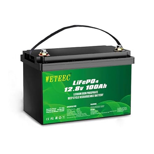 LiFePO4 Batterie 12.8V 100 Ah, Lithium Freizeitbatterie, Lithium Eisenphosphat Batterie anstelle von Auto AGM Batterie oder Deep Cycle-Batterie, für Wohnmobil, Boot, Solaranlage,Outdoor-Camping usw. von Generisch