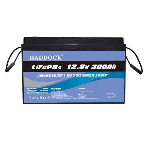 Lifepo4 Batterie 12V(12.8V) 300AH, 5000 Deep Cycle Lithium Eisenphosphat Batterie, ersetzt AGM Blei Säure Batterie, geeignet für Trolling, Wohnmobile, Boote, Solaranlagen usw. von Generisch