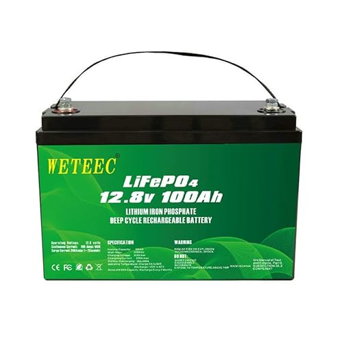 Lifepo4 akku 12V 100AH Lifepo4 Batterie, 5000 Deep Cycle Lithium Eisenphosphat Batterie, ersetzt AGM Blei Säure Batterie, geeignet für Wohnmobile, Trolling, Boote, Solaranlagen usw. von Generisch