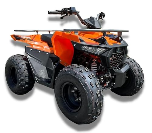 Mikilon Kinderquad Quad Hammer 125cc sehr hohe Qualität orange von Generisch