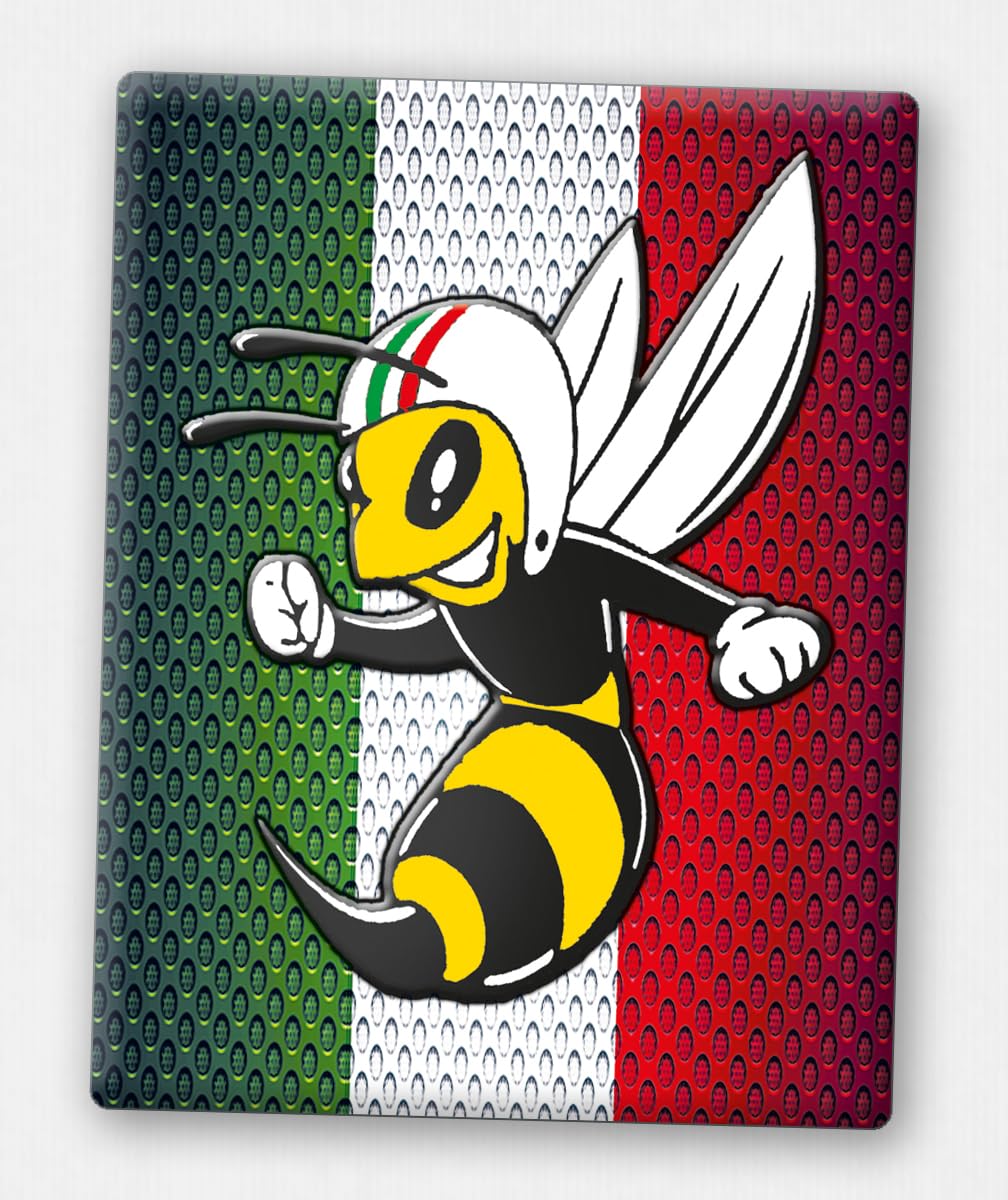 Vespa Emblem - Front-Emblem für Vespa Piaggio Kaskade - 3D-Doming Aufkleber von V.Sticker.com - VP-244 WASP-Italia-Carbon von Generisch