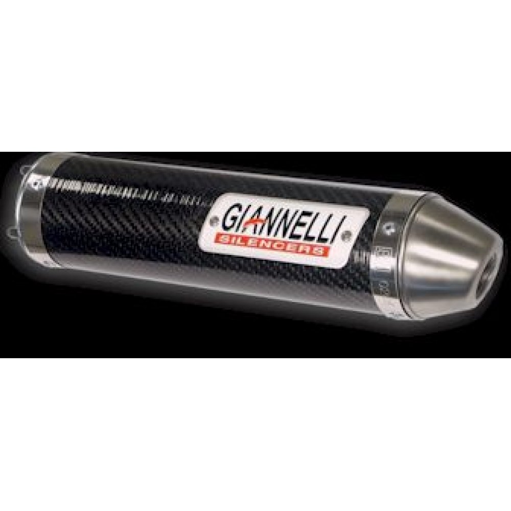 Auspuffanlage Giannelli Endtopf Carbon High Up mit ABE für Aprilia von Giannelli