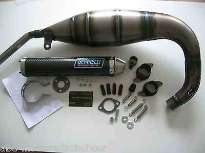 Sport Auspuff Anlage Giannelli Carbon Aprilia RS 125 Tuono Bj. 2003-2004 Typ: SFD00 +ABE von Giannelli