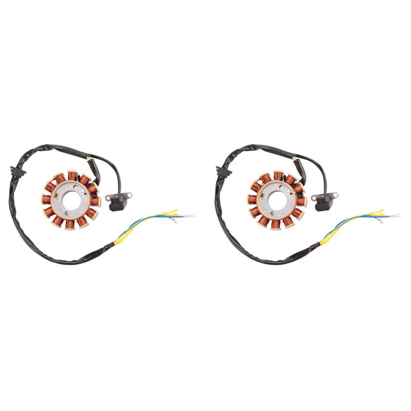 Giwnhvx 2X Spule 12-Poliger Stator DC Spule ZüNdstator für GY6 125Cc 150Cc von Giwnhvx