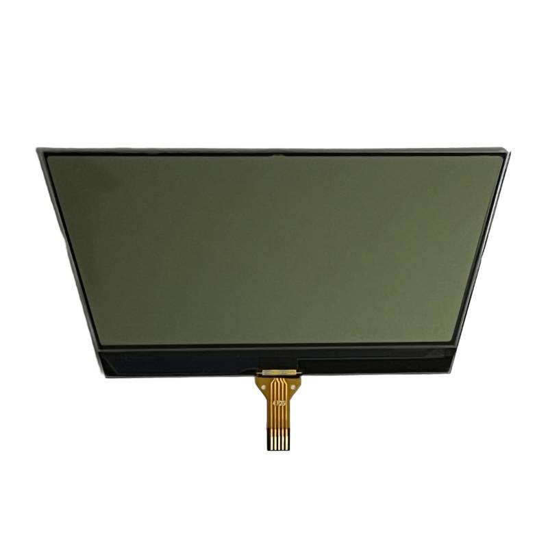 Glanhbnol Tacho Reparatur LCD Display Für 696 796 1100 795 Instrument Panel Bildschirm von Glanhbnol