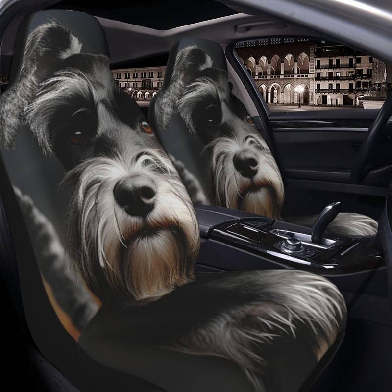 GlbnSHeric Autositzbezug 2 Stück Sitzbezüge für Auto Vordersitze Schutz Tier Schnauzer Hund Sitzbezüge Auto Sitzmatte mit Gummiband Sitzschoner Autozubehör 2er Set von GlbnSHeric