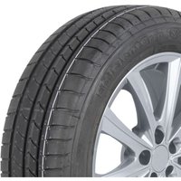 Sommerreifen GOODYEAR EfficientGrip 195/60R16 89H von Goodyear