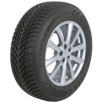 Winterreifen GOODYEAR Ultra Grip + SUV 245/65R17 107H von Goodyear