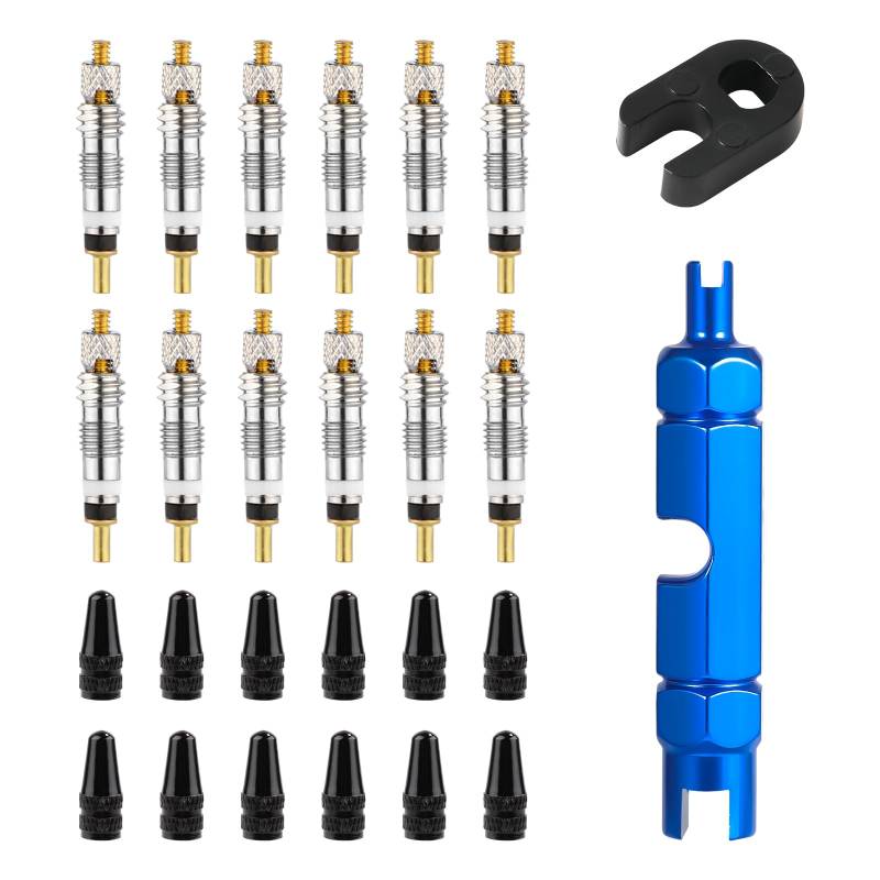 12stk Ventilkerne, Ersatz für Schlauchlose Ventilkerne für Fahrräder mit 12 Ventilkernkappen & 1 Demontageschlüssel & 1 Werkzeug zum Demontieren von Ventilkernen aus Legierung für Presta von Gosknor