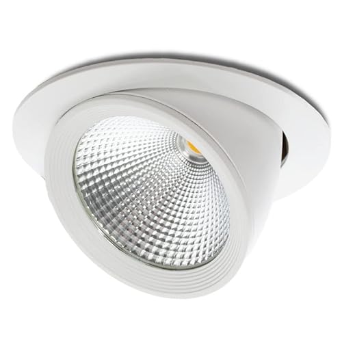 LED-Downlight-Strahler 40W 4000Lm 4200ºK verstellbar UGR17 50.000H [JW-40W-GW] | Greenice von Greenice