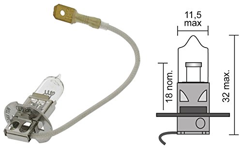 Greenstar 25210 Glühlampe 24 V Elektrizität für Rasenmäher von Greenstar