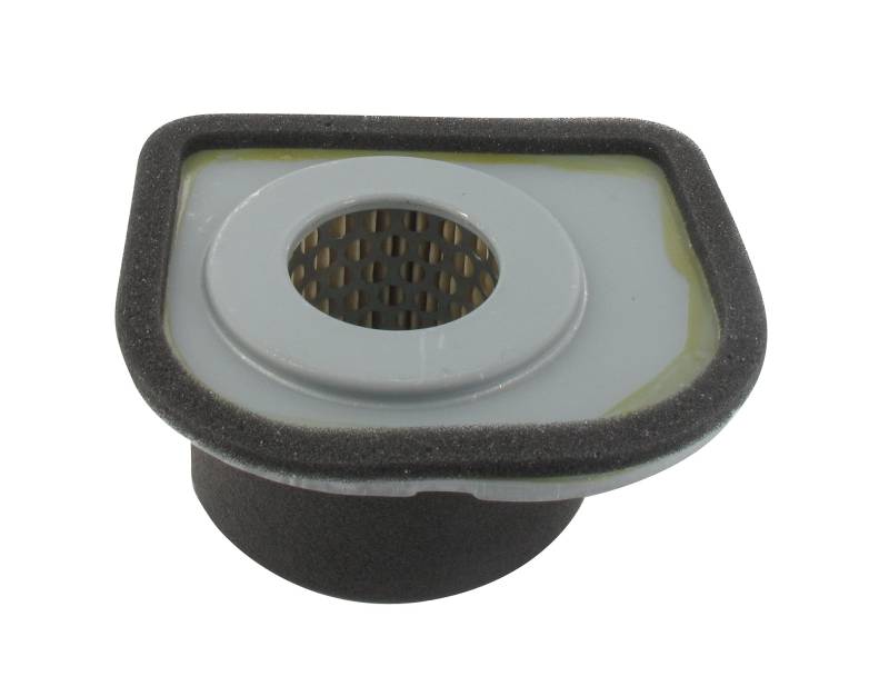 Greenstar 27683 A Luftfilter von Greenstar