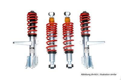 H&r Spezialfedern Fahrwerkssatz, Federn/Dämpfer [Hersteller-Nr. 29491-2-12] für Audi von H&R Spezialfedern