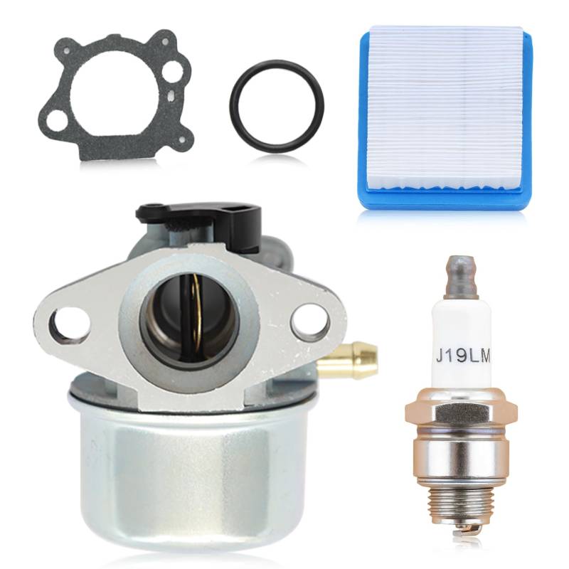 Haishine 799868 Vergaser Kit kompatibel mit 498170 799872 694202 497586 498254 790821 Ersatz für Vergaser Motor Rasenmäher von HAISHINE