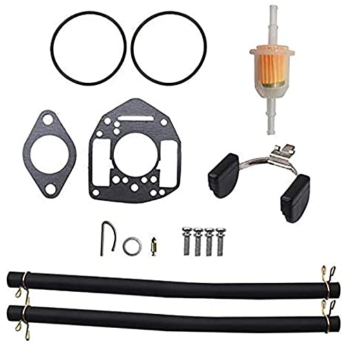 Motorrad-Vergaser-Reparatur-Set, kompatibel mit Miller Onan P216G P218G P220G P224G 146-0657 von HAYGTRE