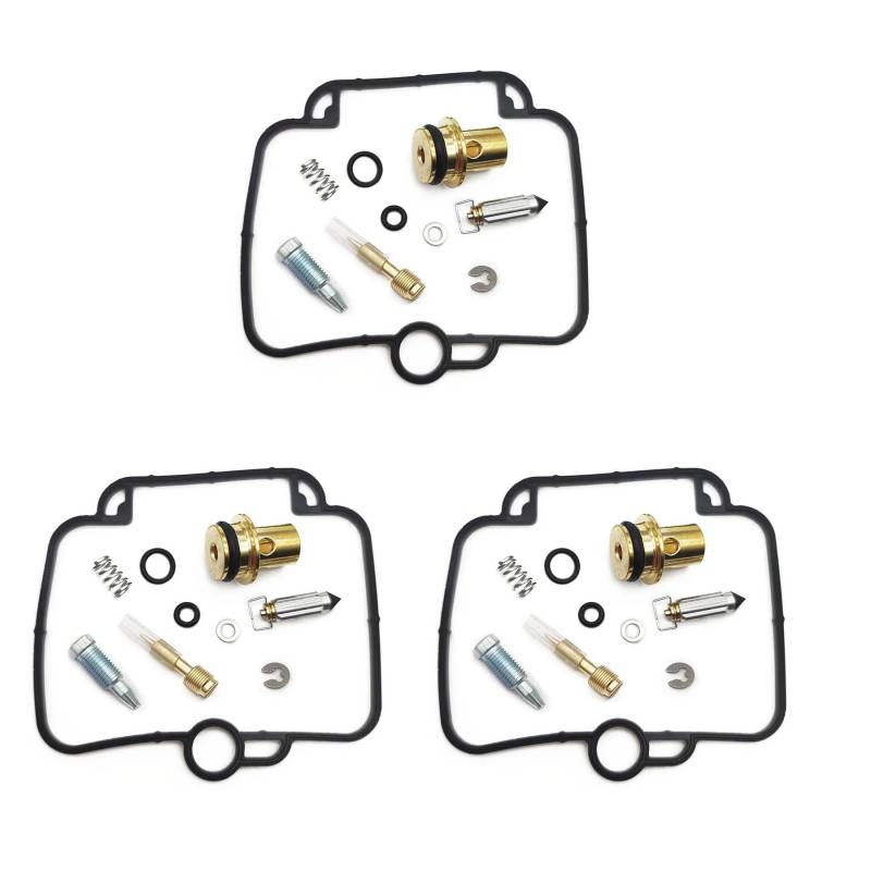 Vergaser-Reparatursatz, kompatibel mit Triumph Trophy Daytona Adventurer Speed Triple Sprint Sport Tiger Trident 900 1200 750 600 650 (3 Reparatur) von HAYGTRE
