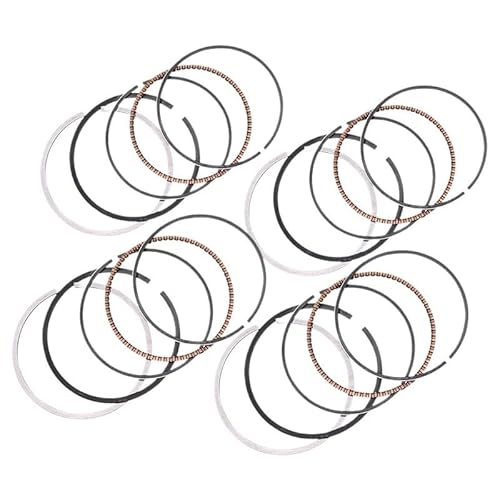 4 stück 48,5mm 48,75mm 49mm 49,25mm 49,5mm STD 0,25 0,5 0,75 1,0 Motorrad Motor Kolben ring for 13011-KAZ-004 13011-KT7-004(48.75mm) von HCHAJSEH