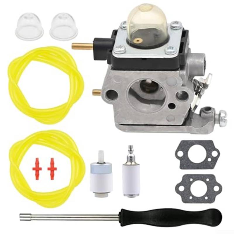 HEBEOT Vergaser-Kit Vergasersatz für RM2BV, YM2BV für RM2BL, für CRAFTSMAN 41AS2BVG799 Laubbläsermotoren von HEBEOT