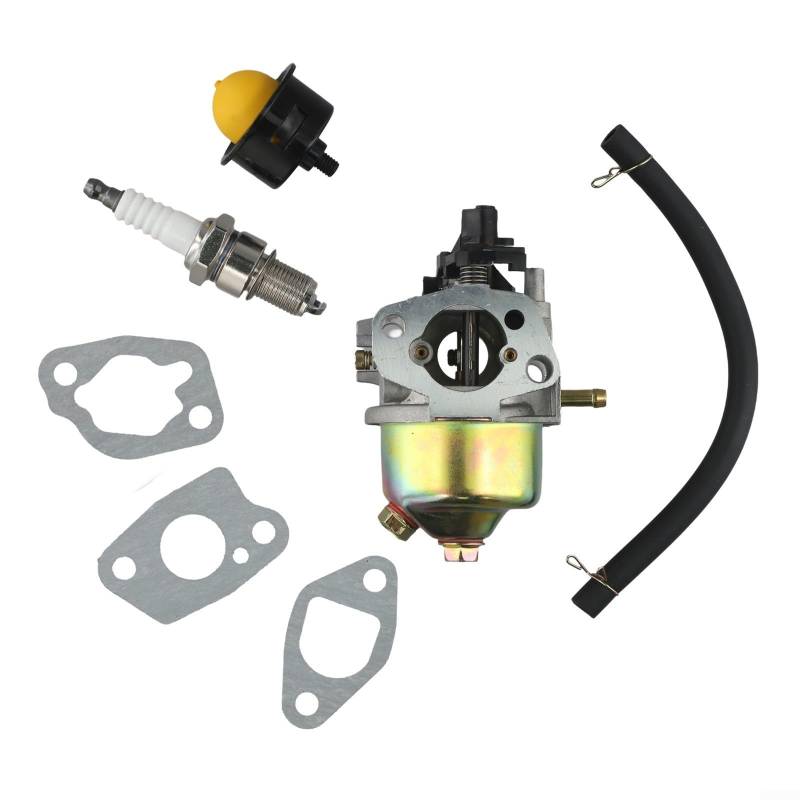 HEIBTENY Vergaser Kit für Einhell GC-PM 46/1 S GC-PM 51/2 S HW HBM 46 R Rasenmäher Ersatzteile ausgezeichneter Lebensdauer von HEIBTENY