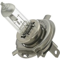 HELLA Glühlampe, Hauptscheinwerfer PERFORMANCE UP TO 60% H4 8GJ 223 498-221  VW,AUDI,MERCEDES-BENZ von HELLA